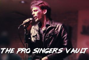 The Pro Singer's Vault