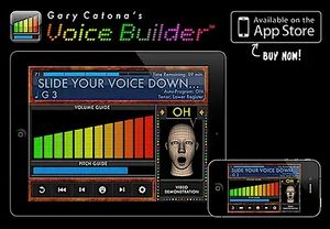 Voice Builder to go